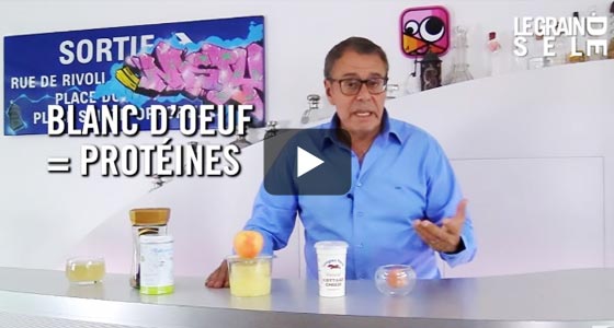 L’oeuf : une protéine de très bonne qualité, voici pourquoi...